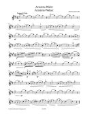 Barenreiters Violin Recital Album Vol 2 First Position For Violin & Piano (Sassmannshaus) additional images 1 2