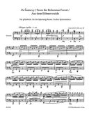 From The Bohemian Forest For Piano Duet Op. 68 (Barenreiter)) additional images 1 2