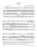 Organ Plus One: Low Instruments I. : Score & parts: (Barenreiter) additional images 1 2