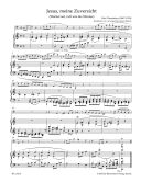 Organ Plus One: Low Instruments I. : Score & parts: (Barenreiter) additional images 1 3