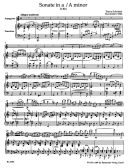 Sonata for Arpeggione in A minor (D.821) arranged for Cello. : Cello: (Barenreiter) additional images 1 2
