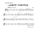 Vamoosh Flute Book 2: Book & Cd (Thomas Gregory) additional images 1 2