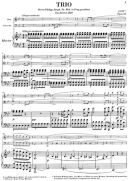 Trio G Minor Op. 63: Piano Flute & Cello (Henle) additional images 1 2