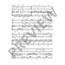 Klezmer & Violin: 17 Klezmer Tunes: 1-2 Violins Book & Audio additional images 1 3