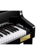 Casio Grand Hybrid Piano GP-510 additional images 2 2