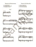 Piano Concerto D Minor No.1 Op.15 Edition For 2 Pianos (Peters) additional images 2 2