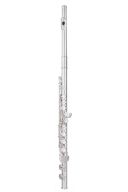 Trevor James Chanson Flute Outfit - Straight Head. CS Shaped Lip additional images 1 1