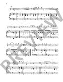 Violinissimo Vienna Forever: Waltzes, Polkas And Marches By Straus For Violin And Piano additional images 1 3