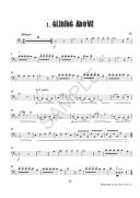 Vamoosh Double Bass Book 2.5: Pupils Book & Audio (Thomas Gregory) additional images 1 2