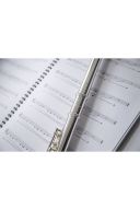 Trevor James 10XEP Solid Silver Lip Plate Flute additional images 2 2