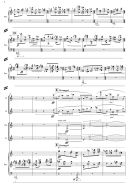Phoenix For Flute, Clarinet, Violin, Cello, Piano (OUP) additional images 2 2