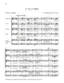 Eight Partsongs, Op. 127 Unaccompanied SATB Chorus (S&B) additional images 3 3