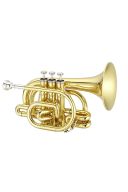 Jupiter JTR710 Bb Pocket Trumpet additional images 1 2