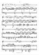 Fusion Suite Alto Saxophone (C Alan) additional images 2 1