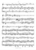 Fusion Suite Alto Saxophone (C Alan) additional images 2 2