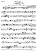 String Quartet A Minor Op.29 (D804) & C Minor (D703) (Barenreiter) additional images 1 2