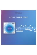 DAddario Helicore Orchestral Bass String Set, 3/4 Scale, Medium Tension additional images 2 2