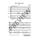 Messa Mariae Dicata: Mixed Choir (SSTTB) And Organ additional images 1 3