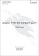 Todd: Angels, From The Realms Of Glory For SATB And Organ (OUP) Digital Edition
