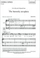 Rutter: Heavenly Aeroplane The: Vocal 2pt (OUP) Digital Edition
