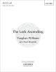 Vaughan Williams: Lark Ascending: Violin & Mixed Choir (OUP) Digital Edition