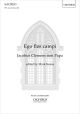 non Papa: Ego flos campi DSM for SSA unaccompanied. (OUP) Digital Edition