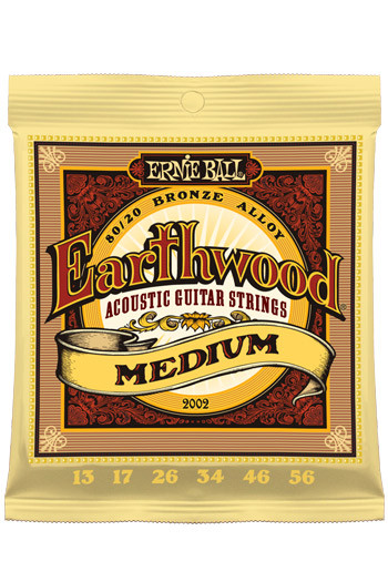 Ernie Ball Acoustic Guitar Earthwood 2002 Bronze Medium 13-56