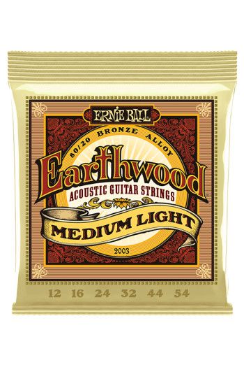 Ernie Ball Acoustic Guitar Earthwood 2003 Bronze Medium-Light 12-54