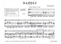 Napoli Cornet & Piano (G&M Brand)