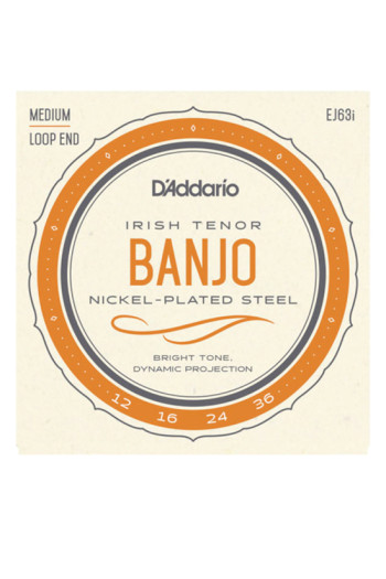 D'Addario EJ63I Irish Tenor Banjo Loop End Set Medium 12-36
