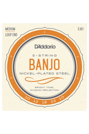 D'Addario EJ61 5 String Banjo Loop End Set Medium 10-23