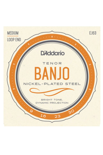 D'Addario EJ63 4 String Tenor Banjo Loop End Set Medium 9-30