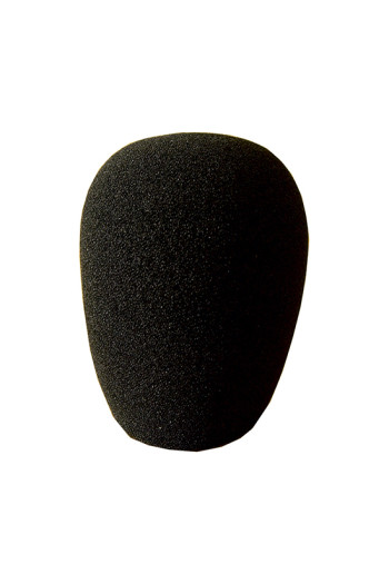 Microphone Wind Shield