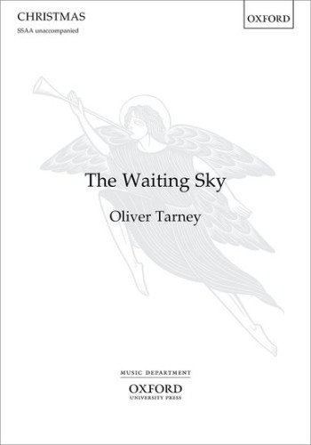 The Waiting Sky: SSAA