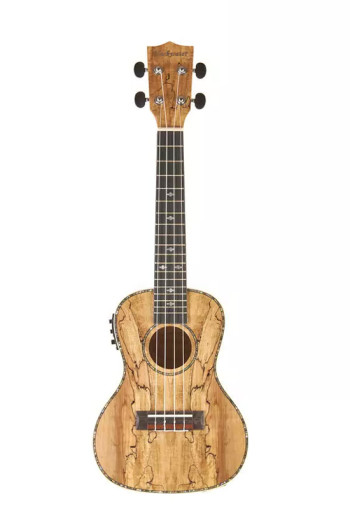 Blackwater Electro Acoustic Spalted Maple Concert Ukulele