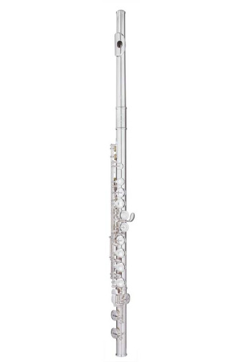 Trevor James Chanson Flute Outfit - Straight Head. CS Shaped Lip