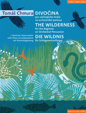 The Wilderness For The Beginner On Orchestral Percussion (Chmura