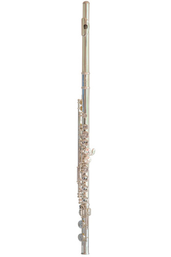 Trevor James 10XEP Solid Silver Lip Plate Flute