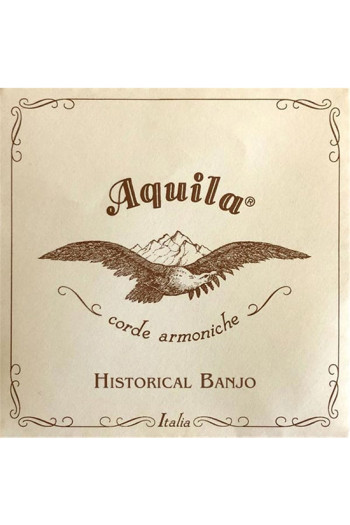 Aquila 5 String Banjo Set Historical: New Nylgut