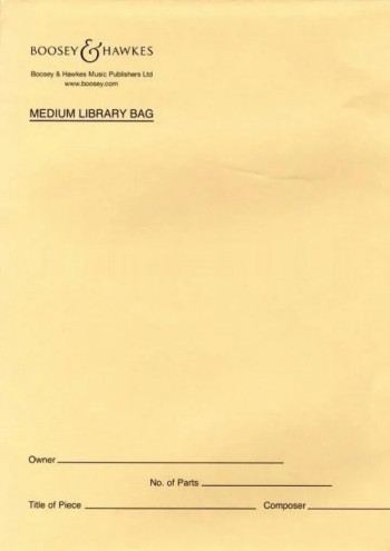 Medium Library Bag - Brown Paper: 27cm X 34cm