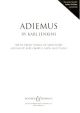 Adiemus Theme From Songs Of Sanctuary: Vocal Satb