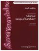 Jenkins: Adiemus: Songs Of Sanctuary: Flexible Ensemble: Score  & Parts