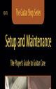 Setup And Maintenance: Guitar: Maintenance
