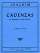 Cadenzas For Beethoven’s Violin Concerto, Op. 61 Violin Solo (International)