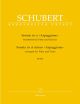 Sonata: A Minor Arpeggione: Flute   (Barenreiter)