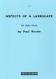 Aspects Of A Landscape Flute Solo