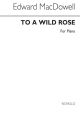 To A Wild Rose