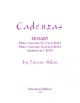 Cadenzas To Mozarts Flute Concertos (Emerson)