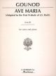 Ave Maria: D Major Low Voice Solo Song  (Schirmer)