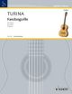 Fandanguilla: Guitar